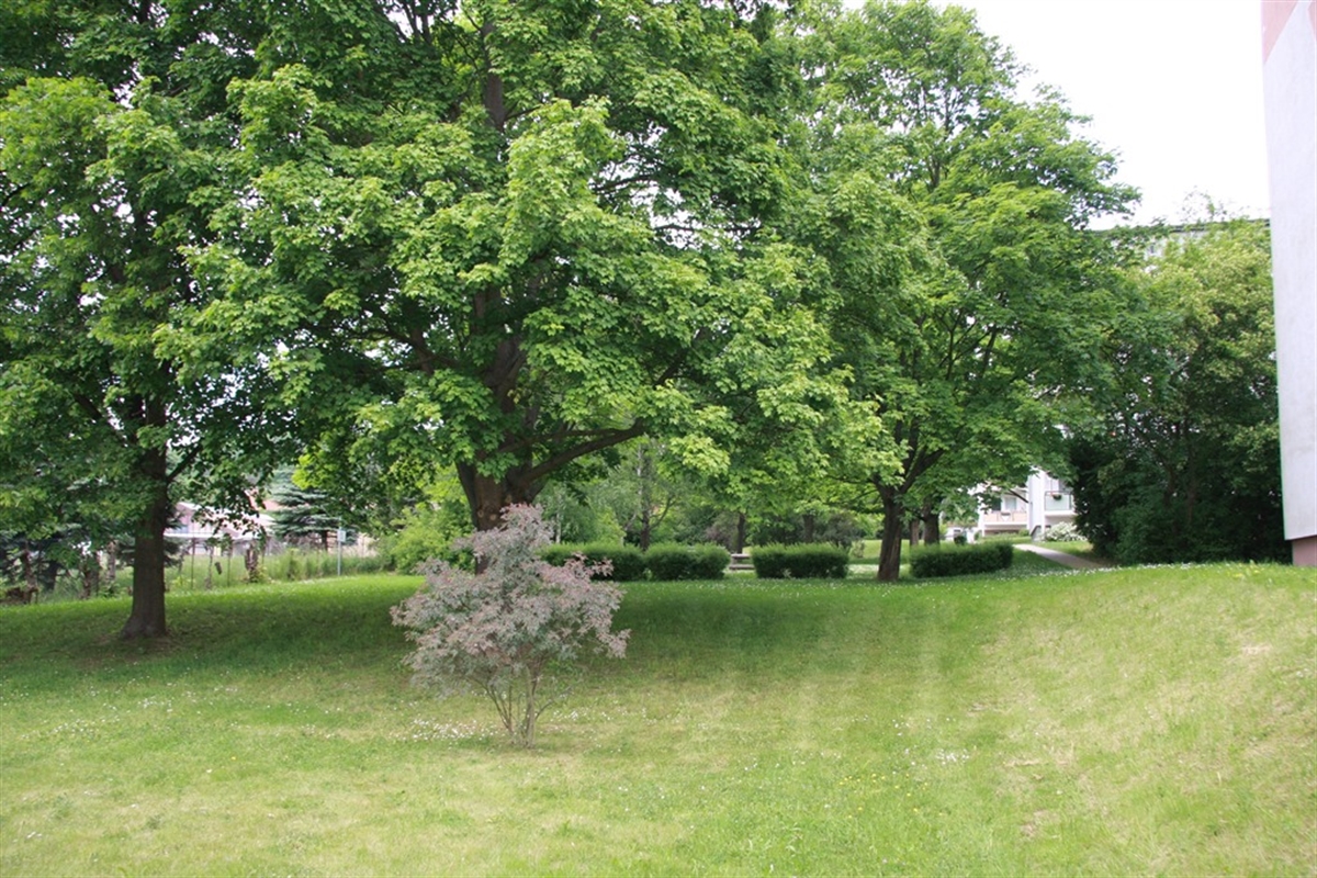 Schöne 2-Raum-Wohnung mit Einbauküche im Grünen - Foto 2